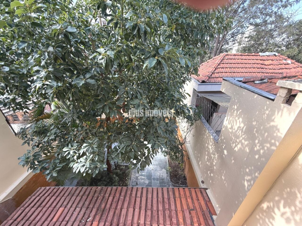Foto 41