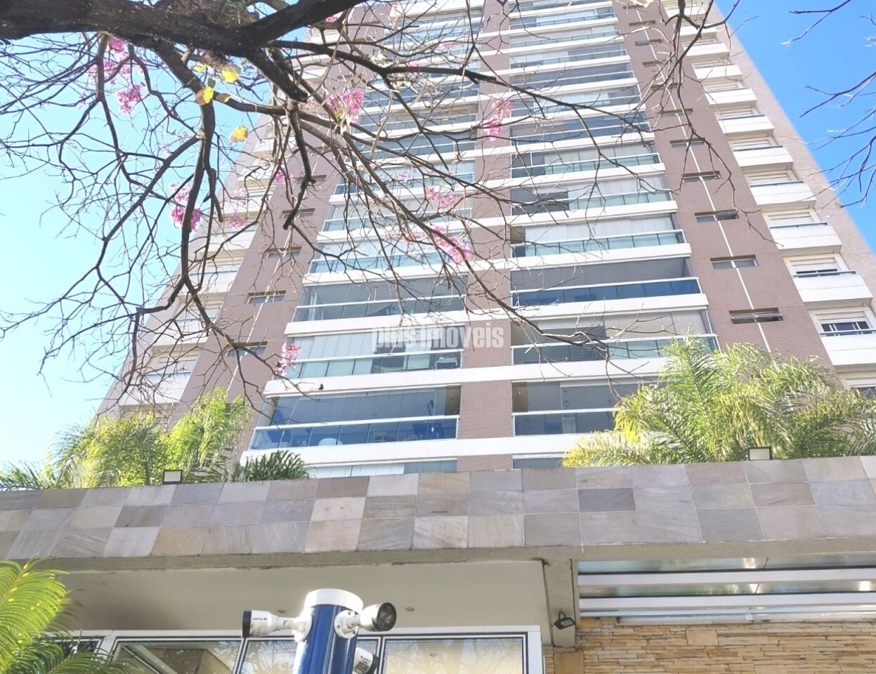 Foto 31