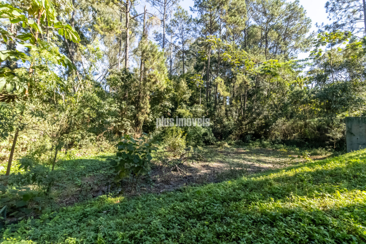 Terreno, 4 hectares - Foto 6