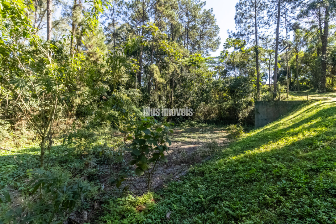 Terreno, 4 hectares - Foto 7