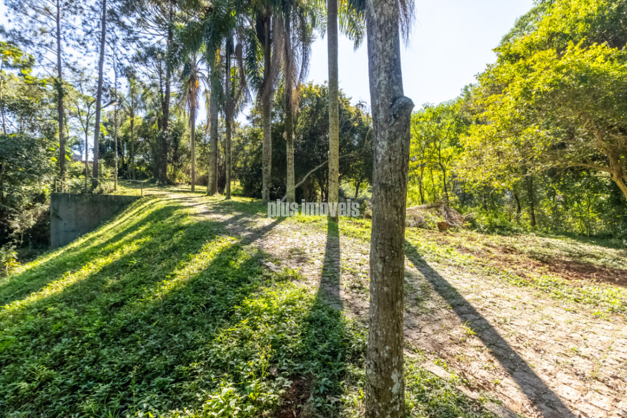 Terreno, 4 hectares - Foto 8