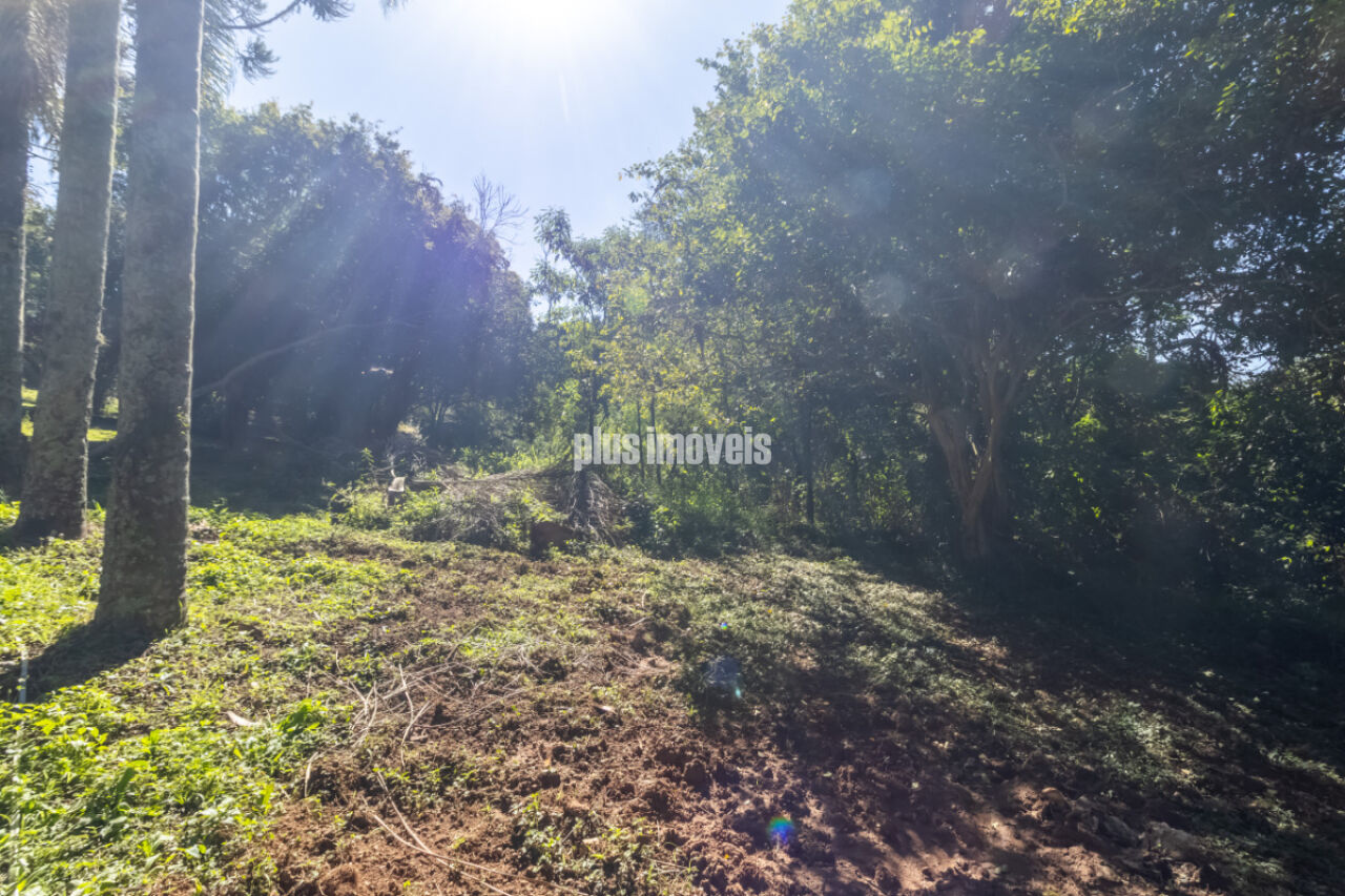 Terreno, 4 hectares - Foto 9