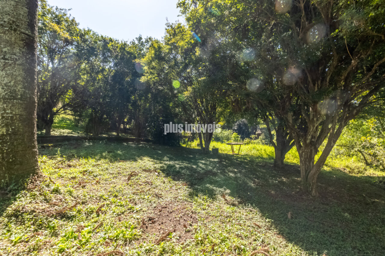 Terreno, 4 hectares - Foto 10