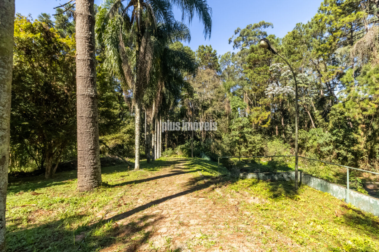 Terreno, 4 hectares - Foto 11