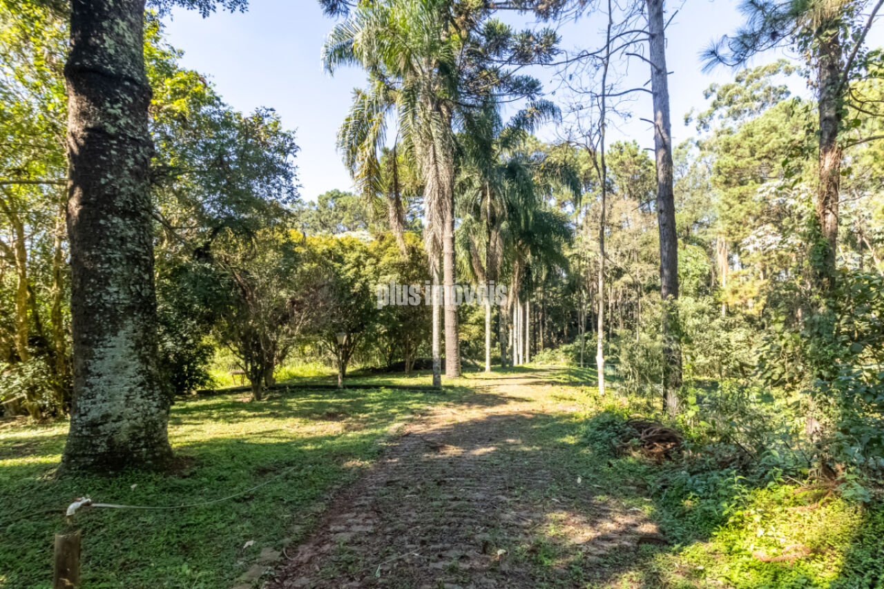 Terreno, 4 hectares - Foto 13