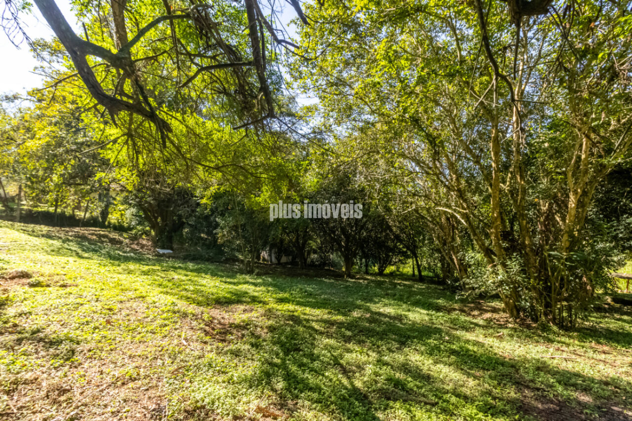 Terreno, 4 hectares - Foto 14