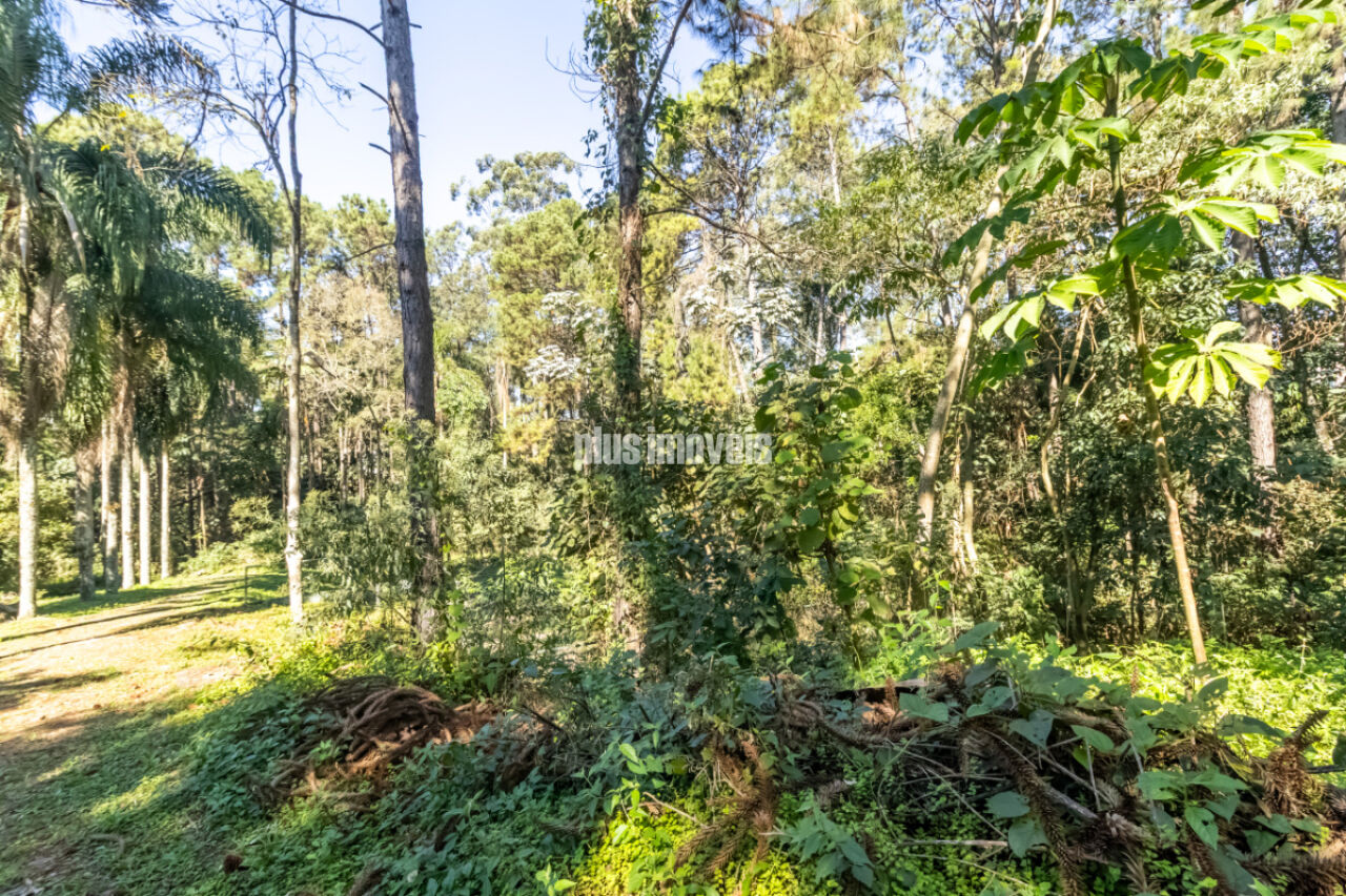 Terreno, 4 hectares - Foto 15