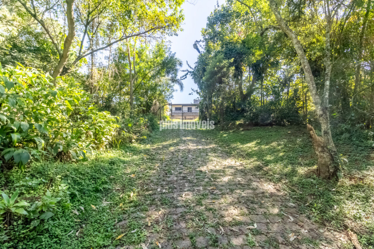 Terreno, 4 hectares - Foto 16