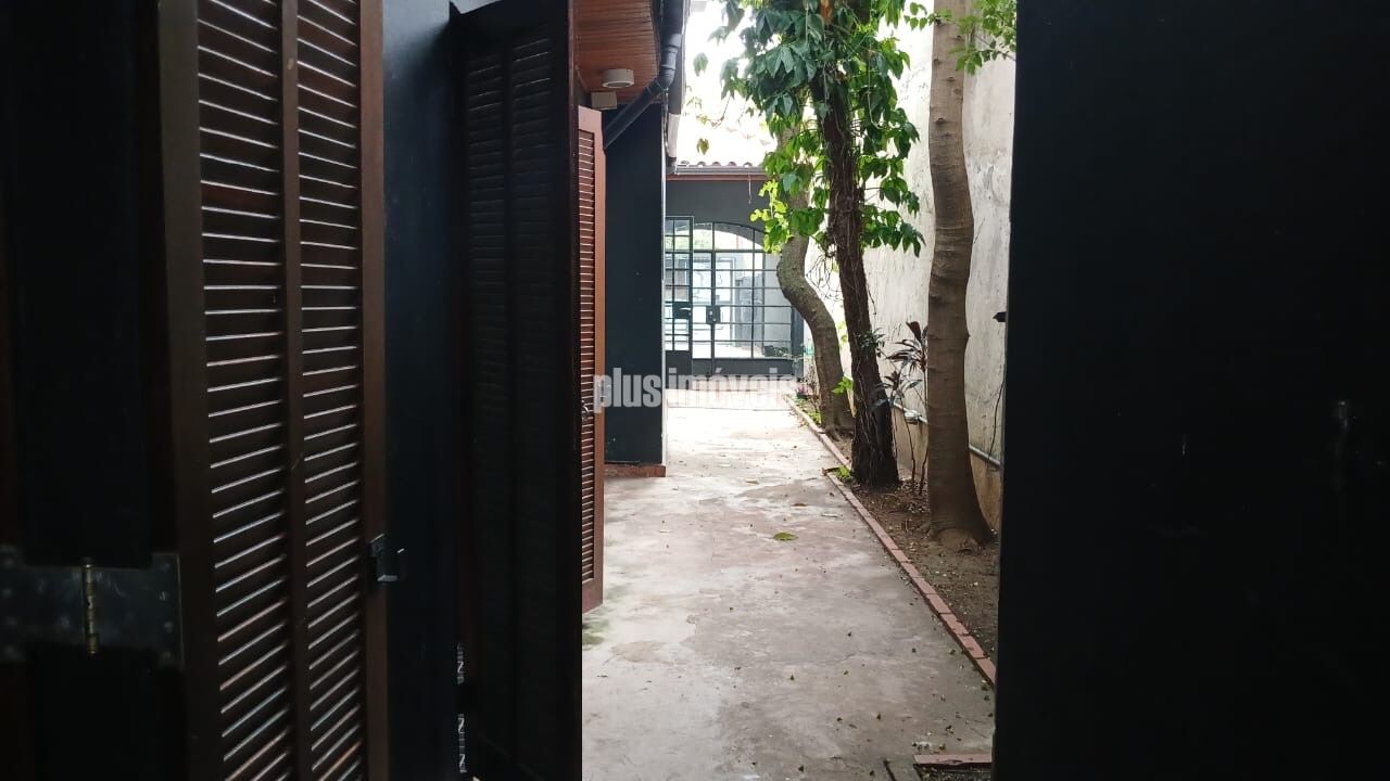 Foto 35