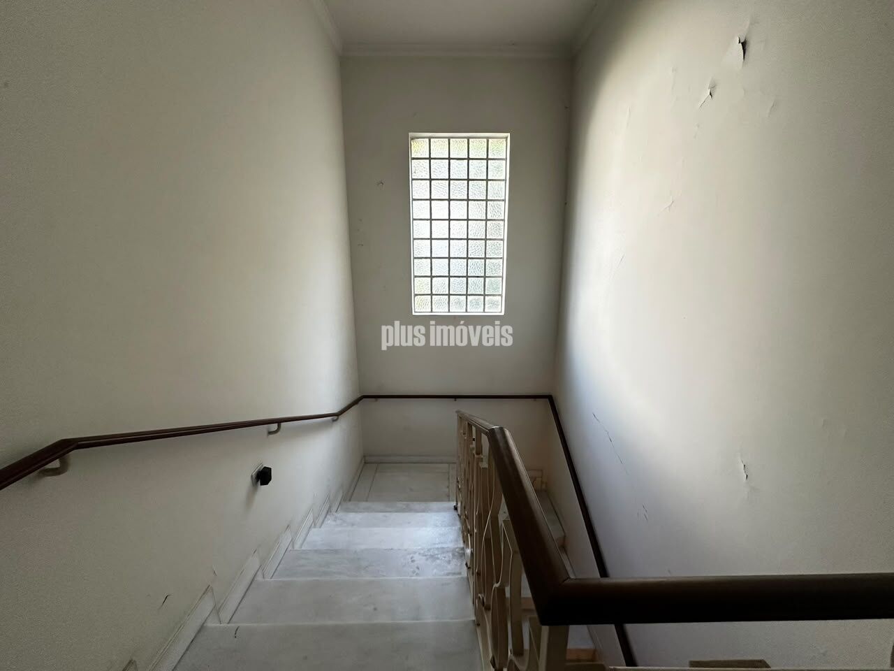 Casa, 4 quartos, 440 m² - Foto 14