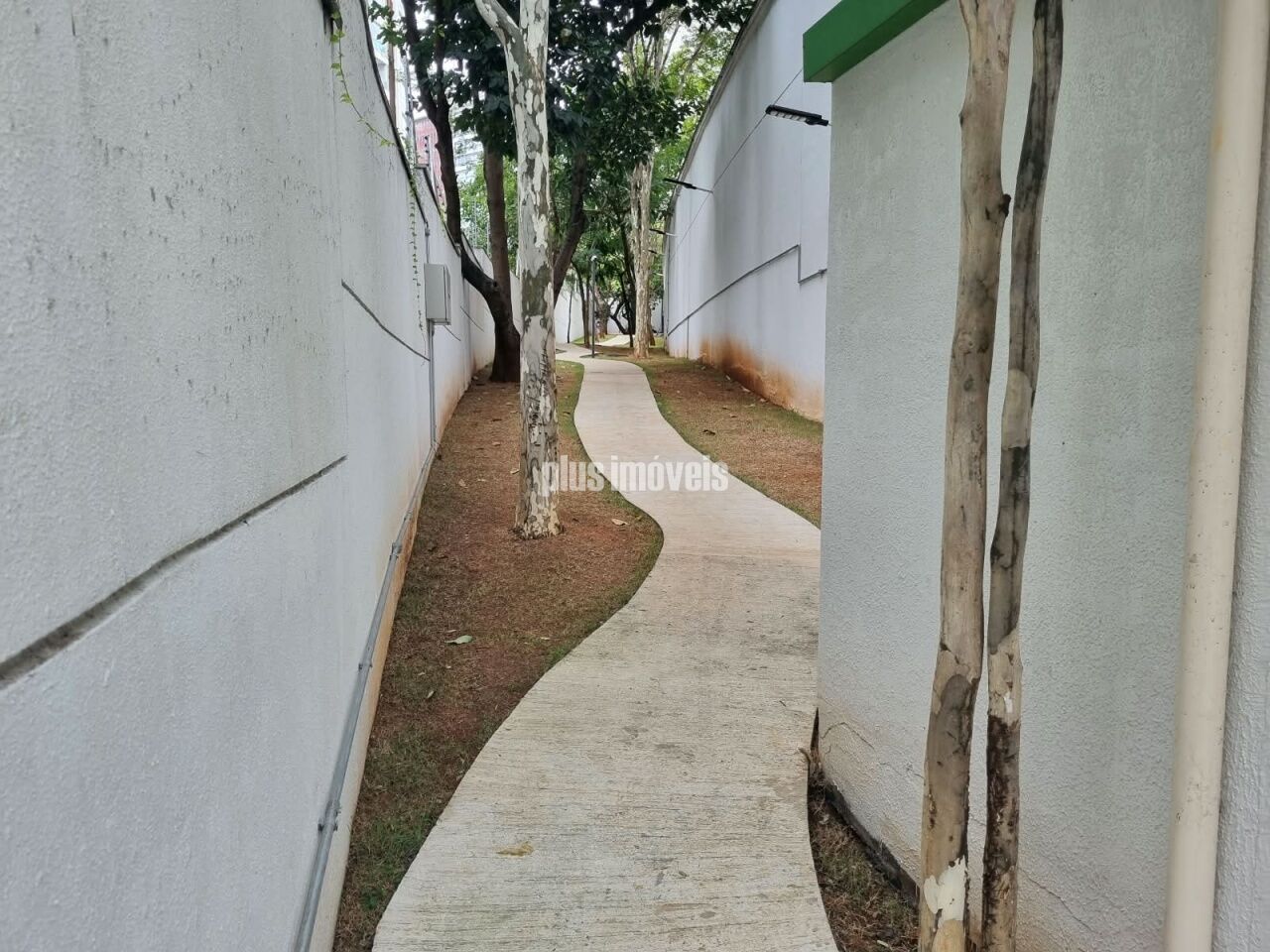 Foto 41