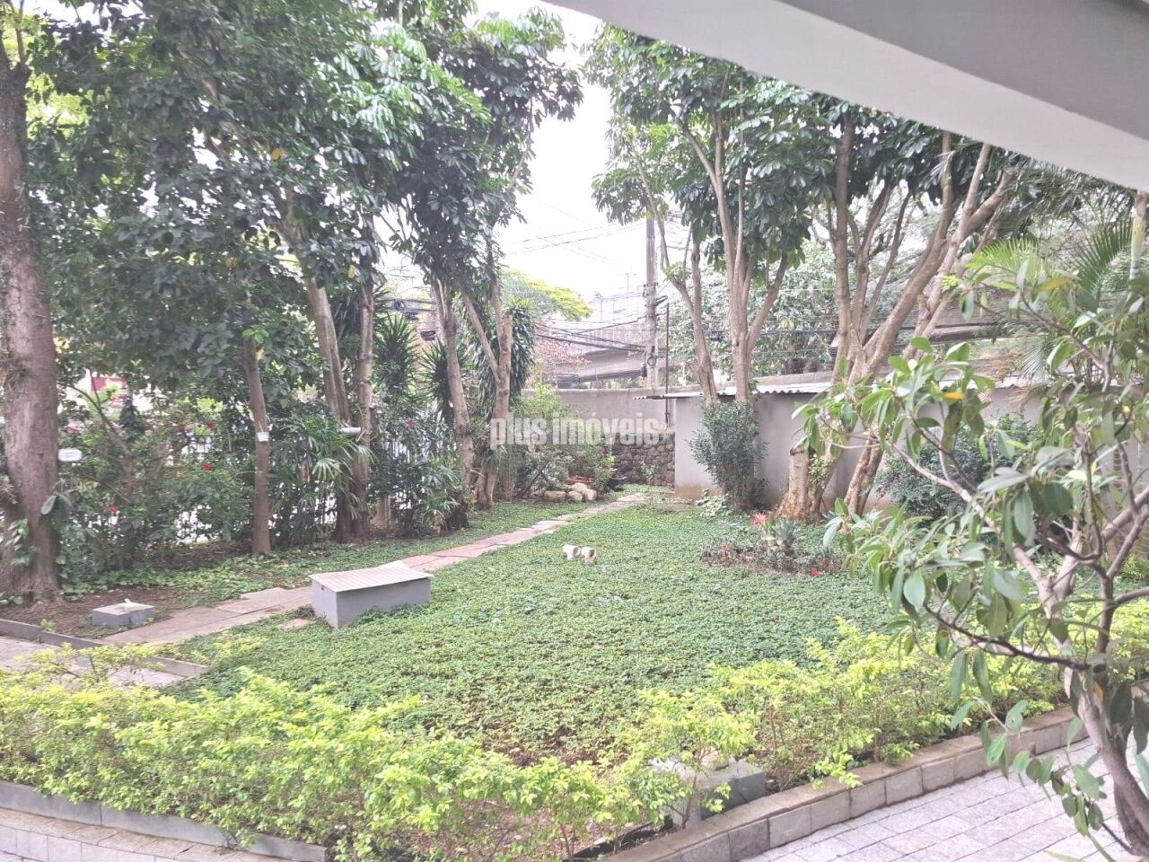 Foto 18