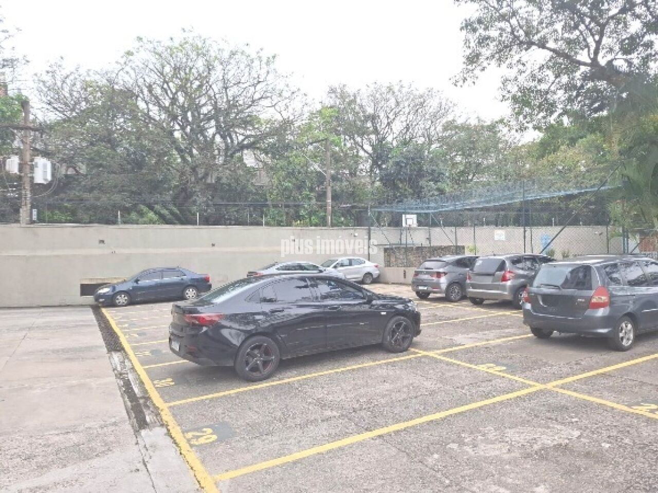 Foto 19