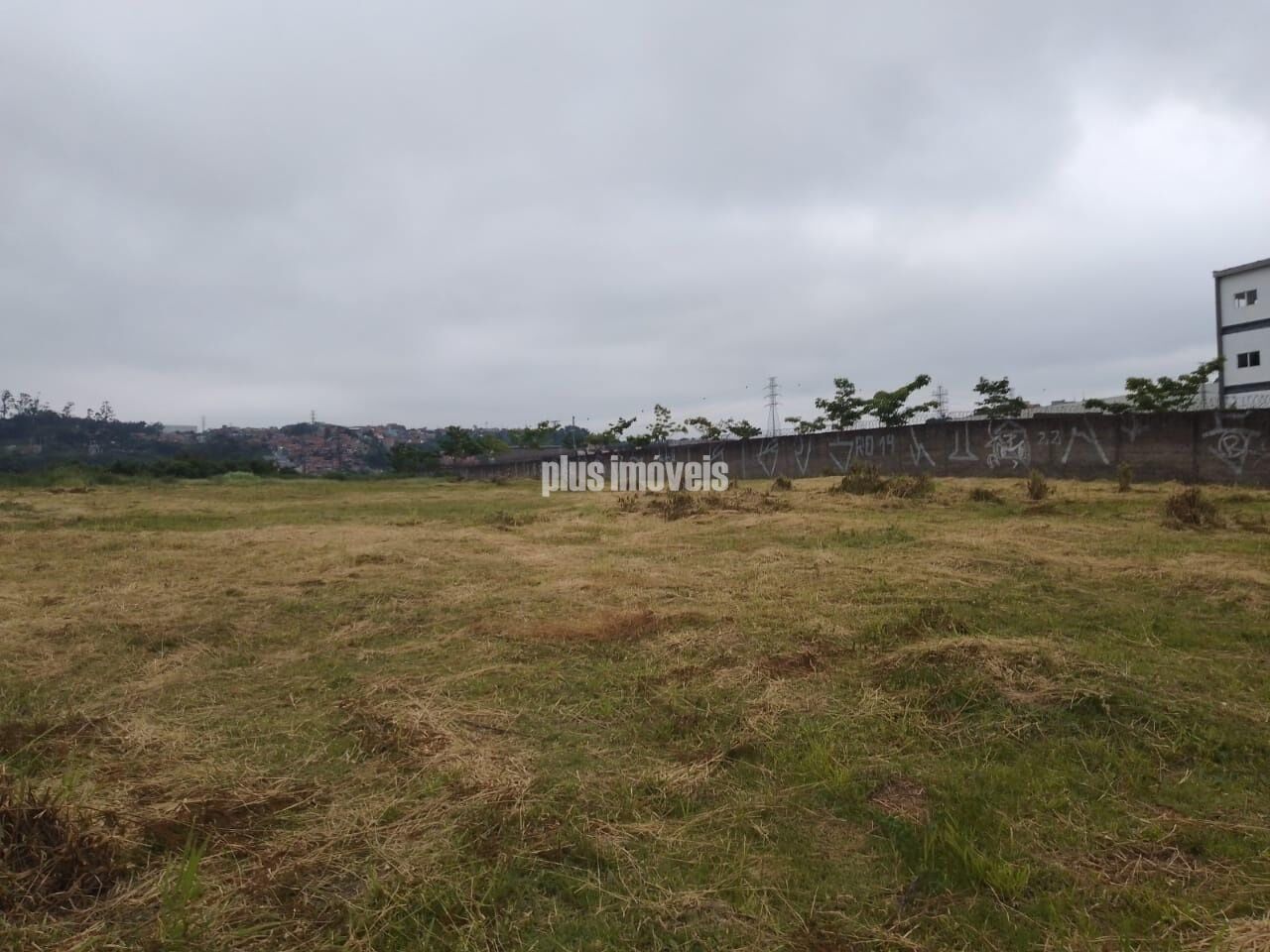 Terreno, 1 hectares - Foto 4