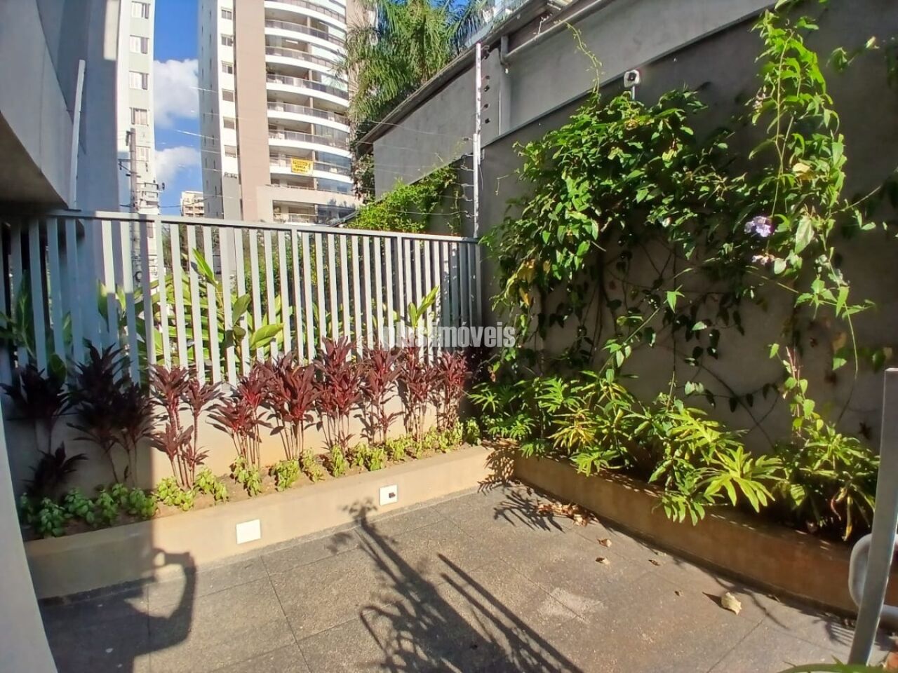 Foto 21