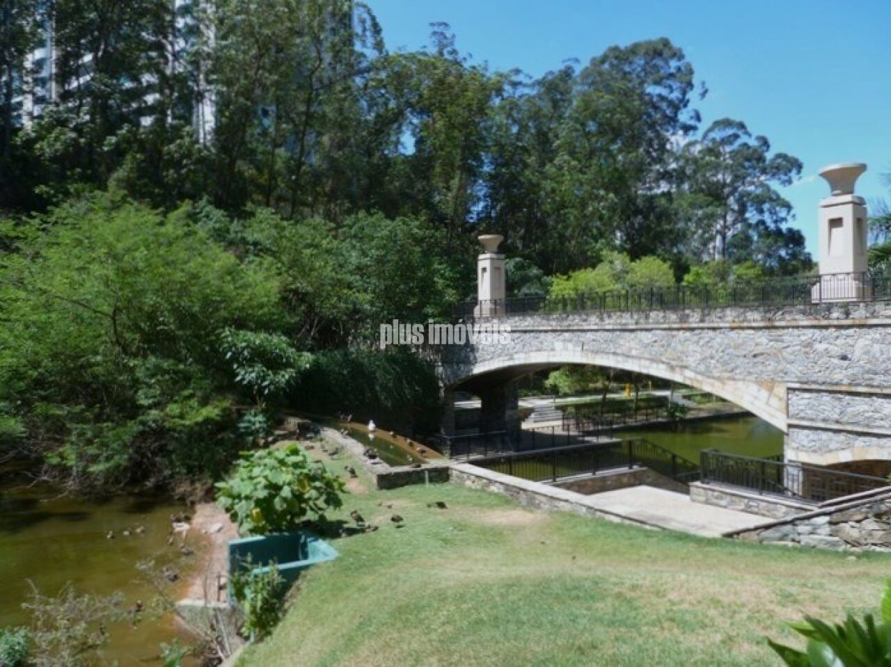 Foto 31