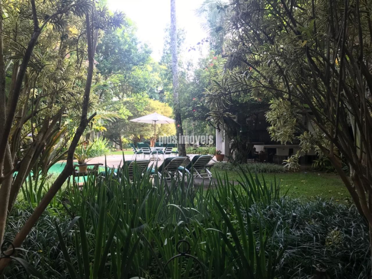 Foto 13