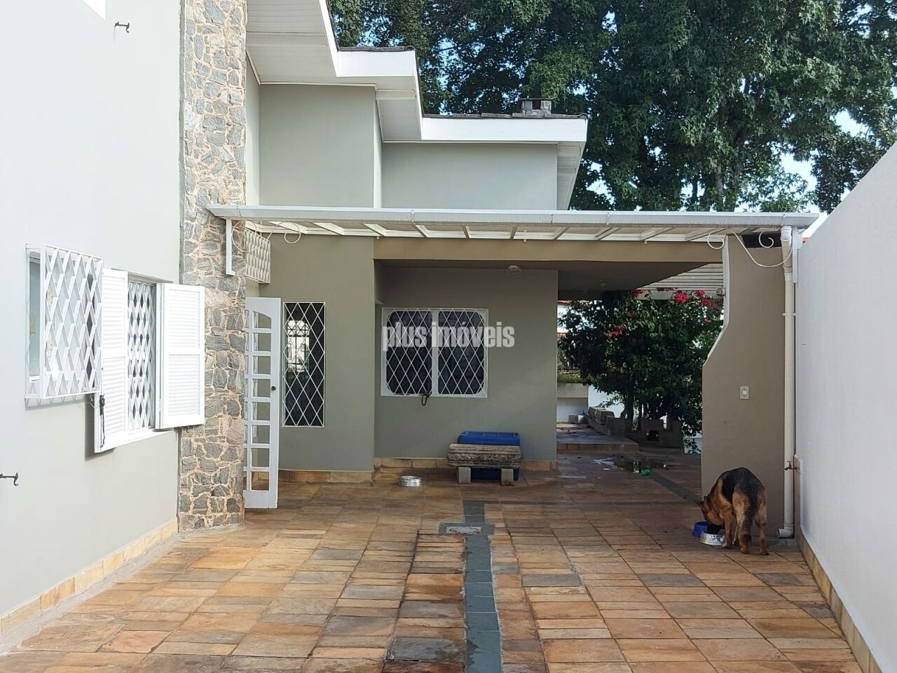 Foto 13