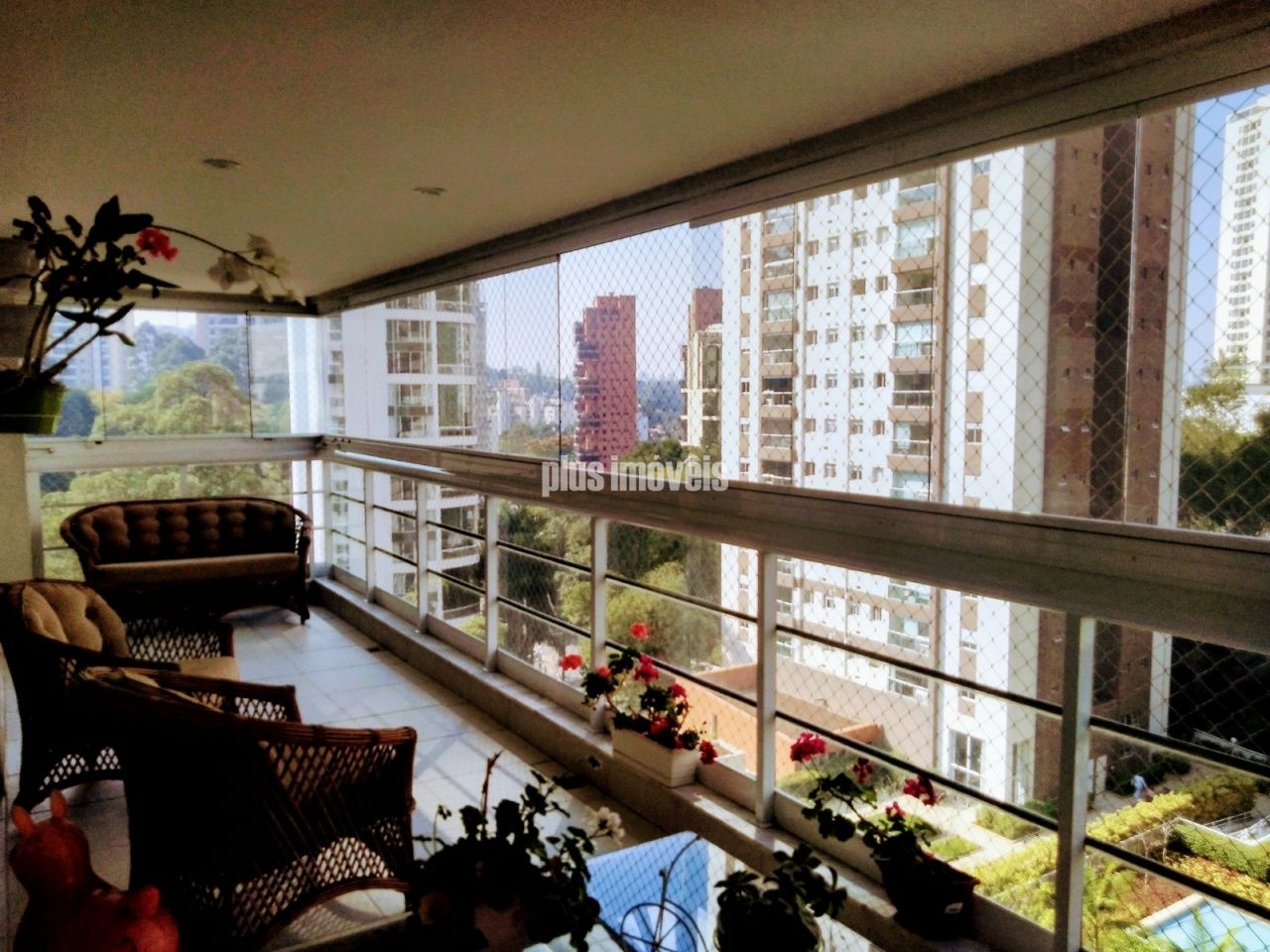 Foto 7