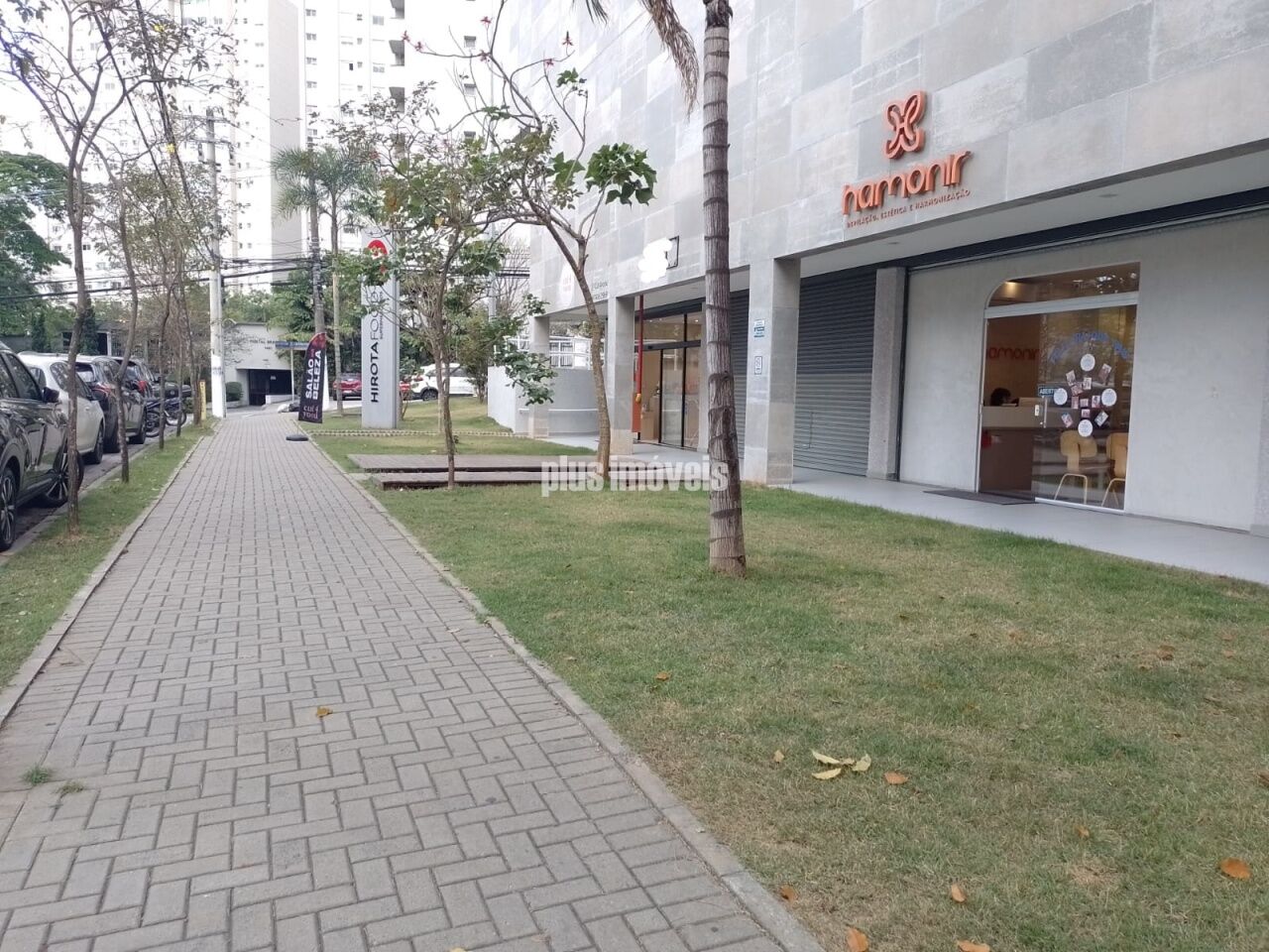 Foto 6