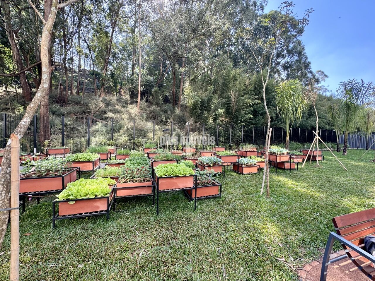 Foto 45