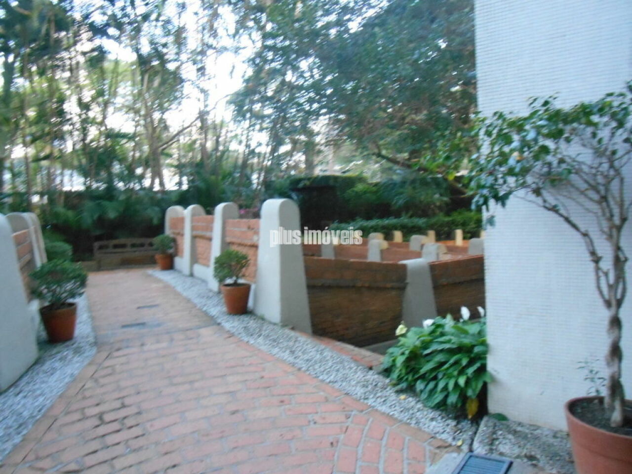 Foto 19