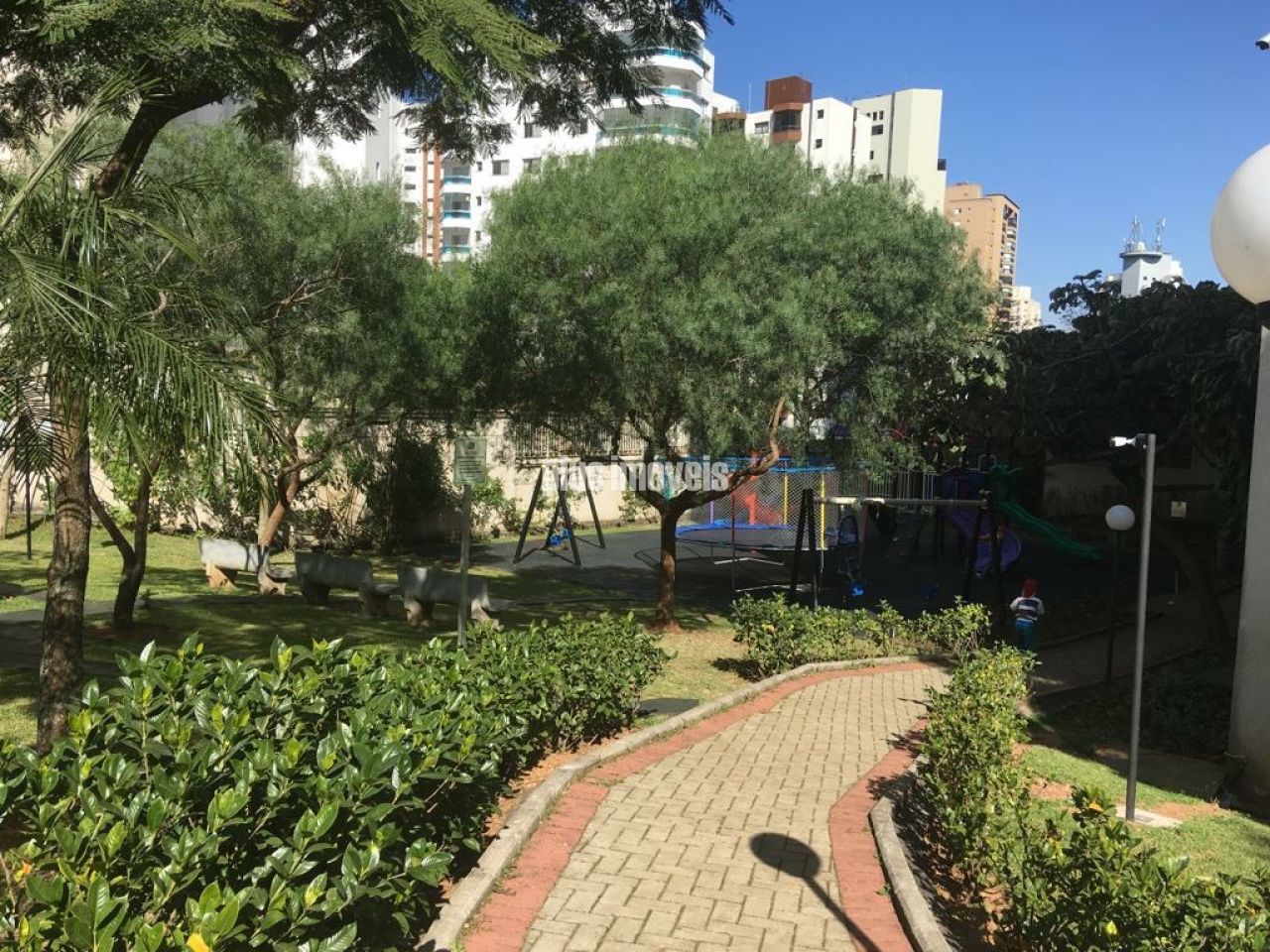 Foto 20