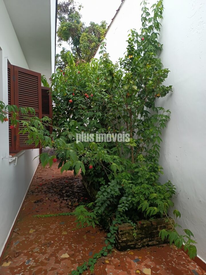 Foto 23
