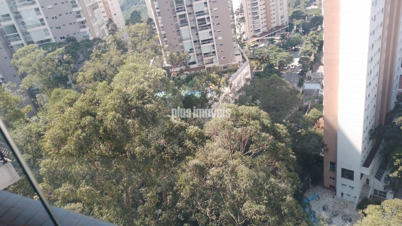 Foto 42
