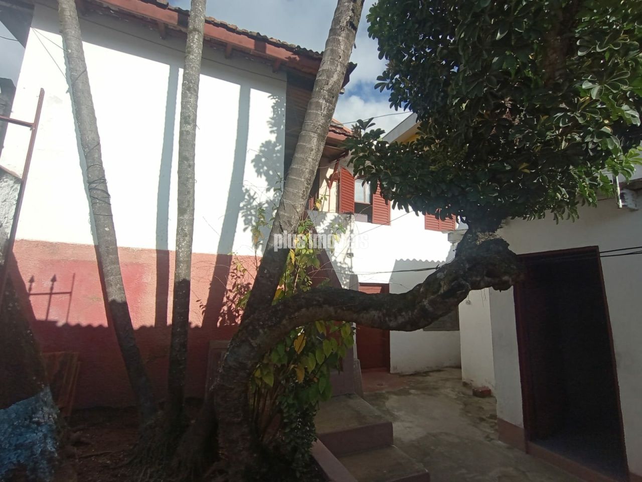 Foto 16
