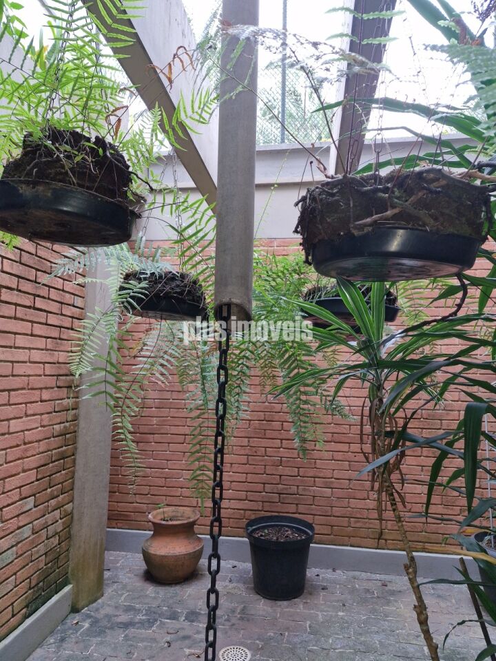 Foto 33
