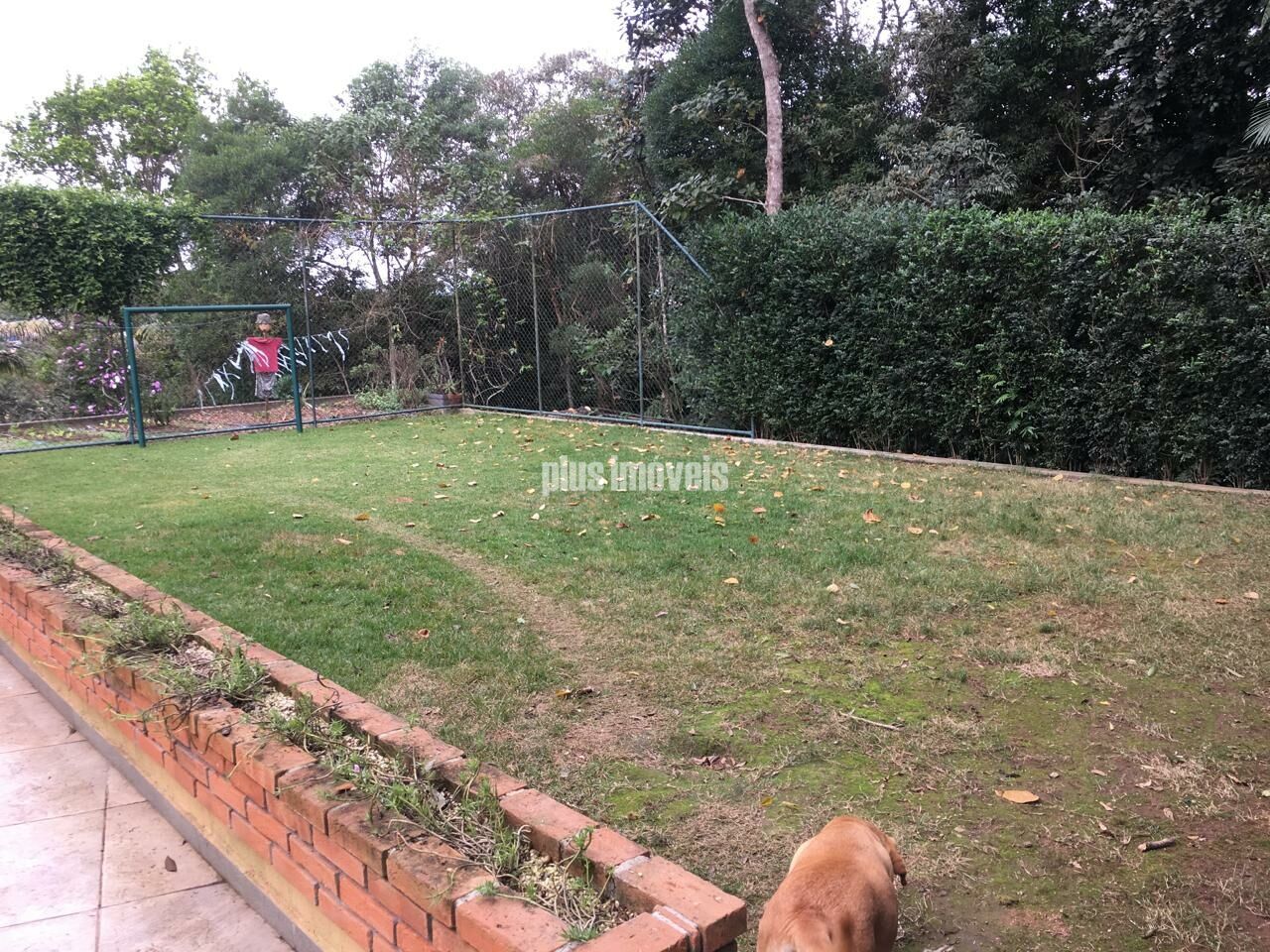 Foto 30