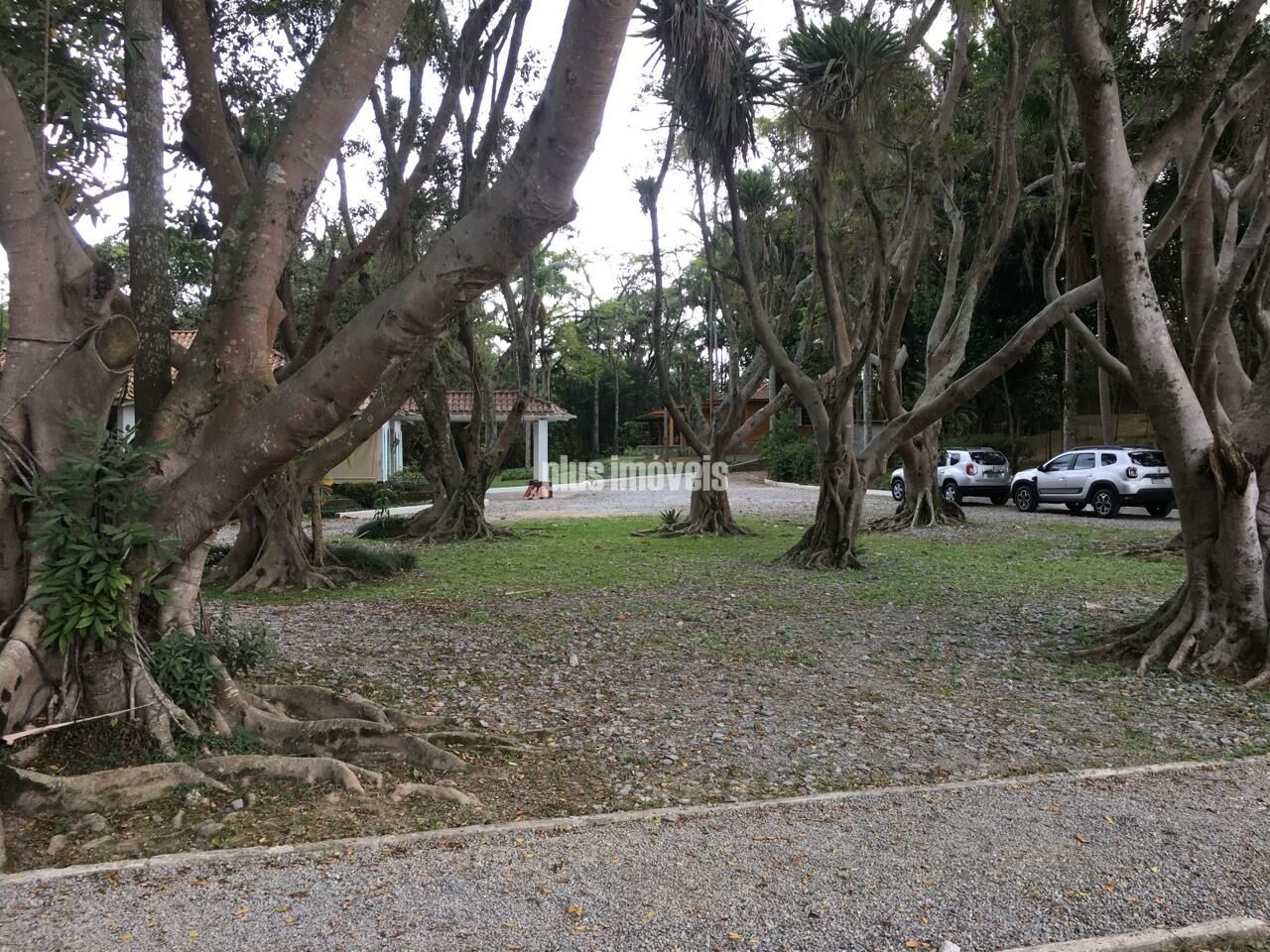 Foto 39