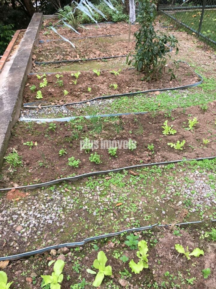 Foto 31