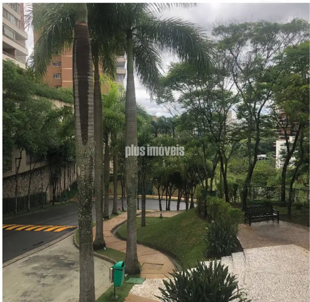 Foto 41
