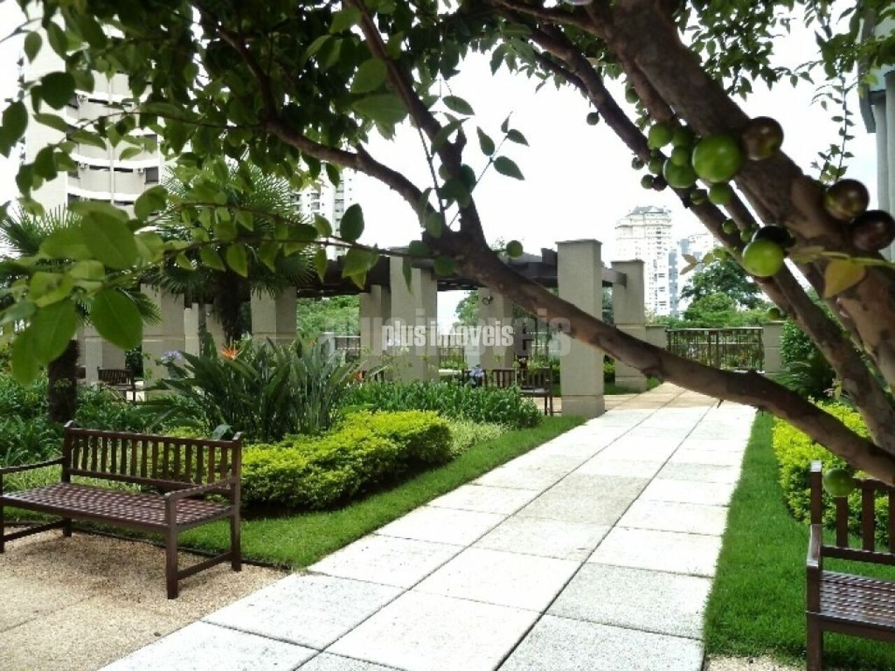 Foto 30