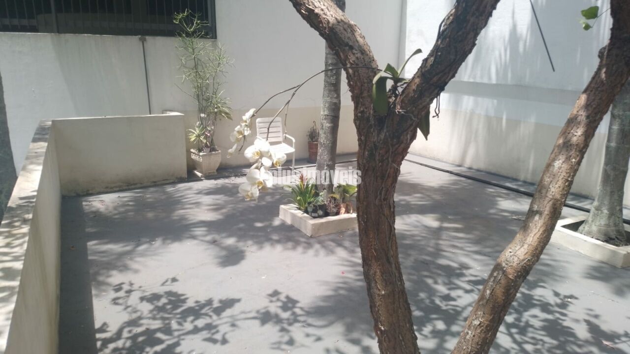 Foto 41