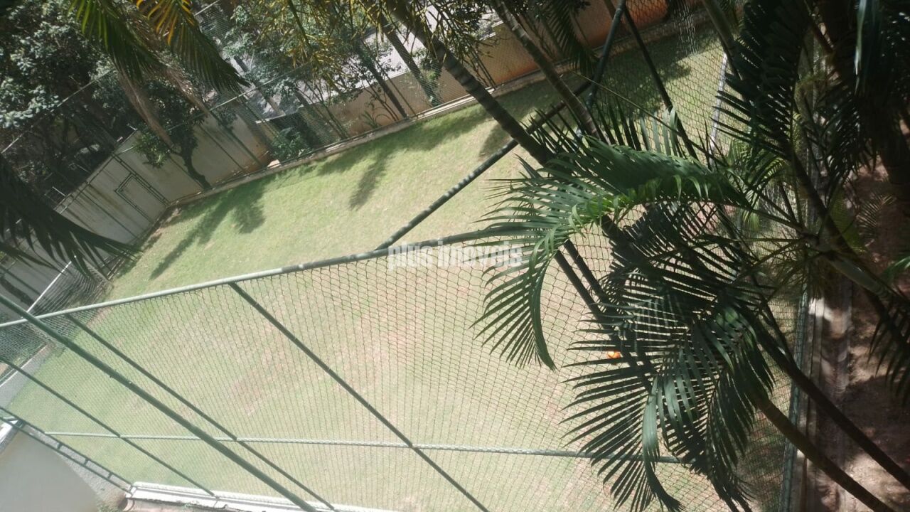 Foto 42