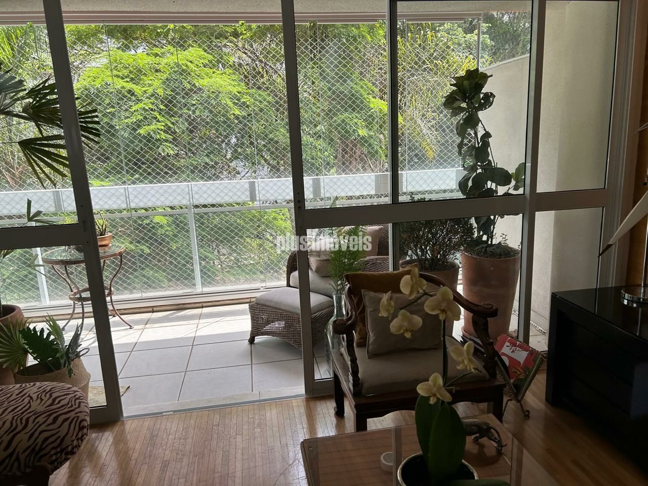 Foto 11