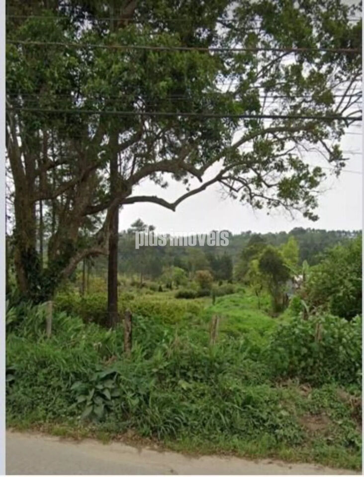 Terreno — foto 3