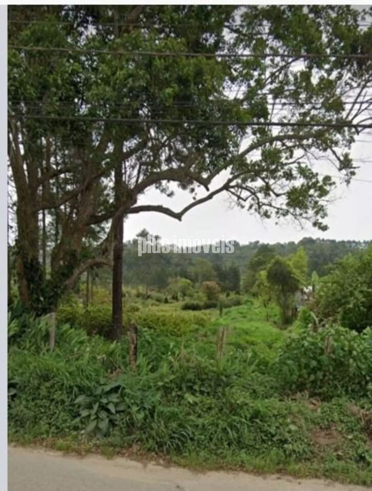 Terreno — foto 2