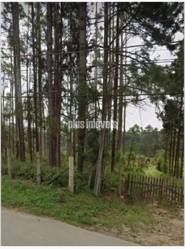 EMBU-GUAÇU - CIPÓ DO MEIO - TERRENO COM 54.330.12M²
