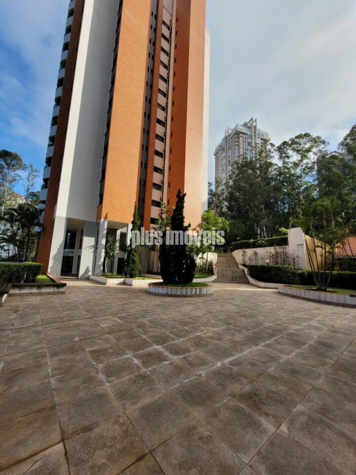 Foto 19