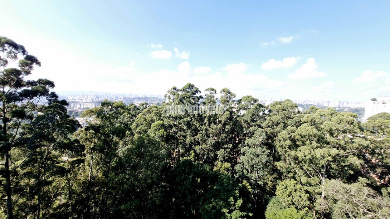 Apartamento, 3 quartos, 510 m² - Foto 8