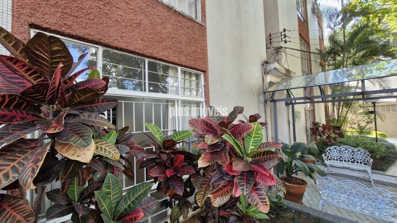 Foto 21