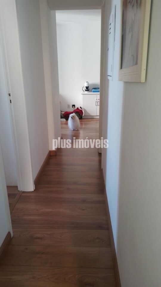 Foto 17