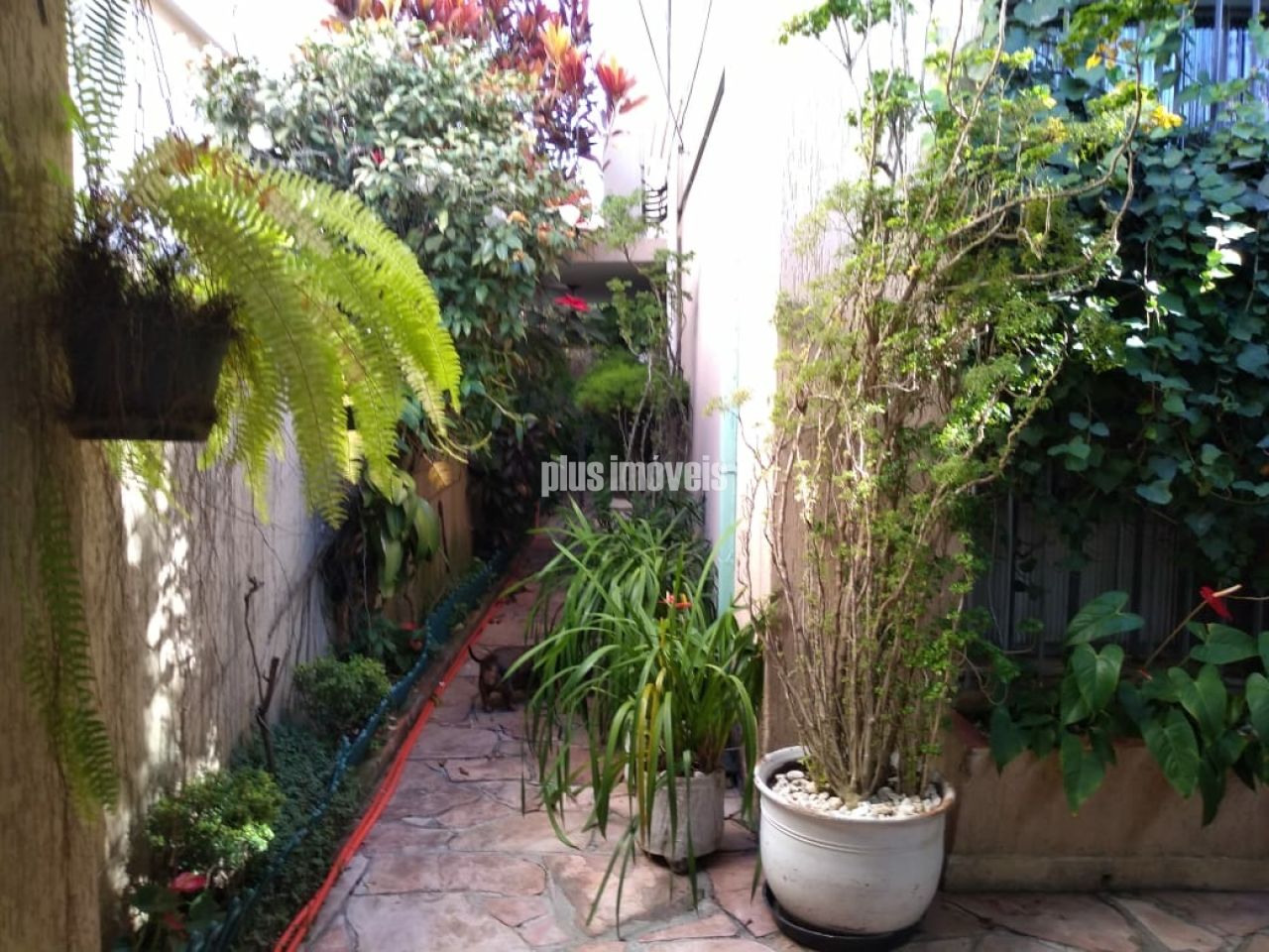 Casa, 4 quartos, 180 m² - Foto 3