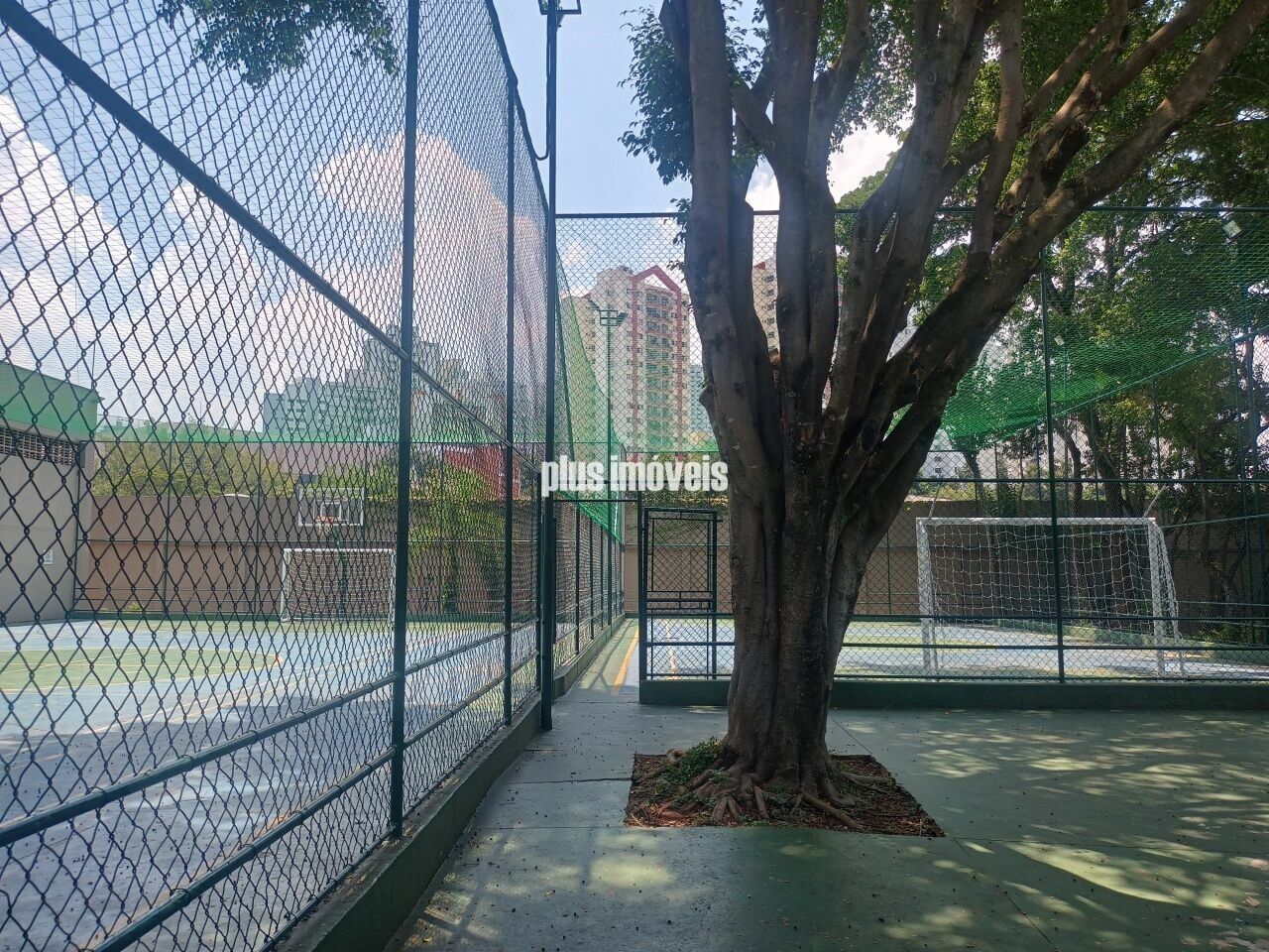 Foto 33