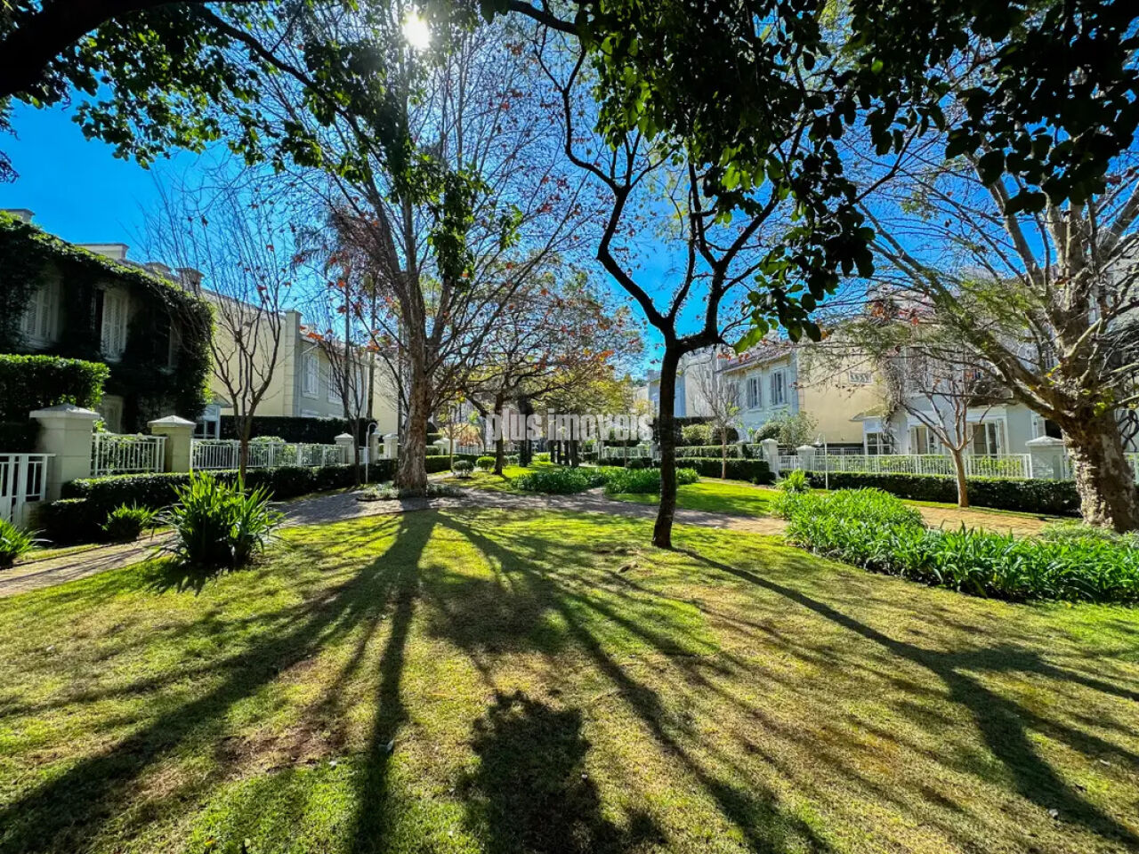 Foto 41