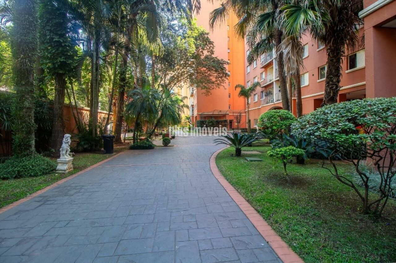 Foto 44